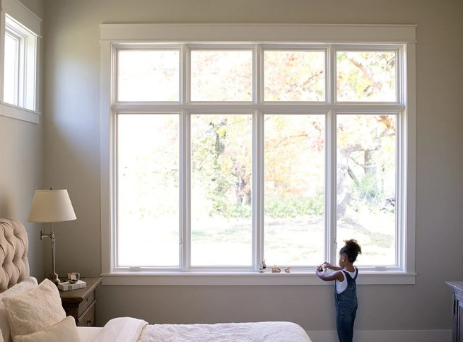 Boise Pella Windows by Material